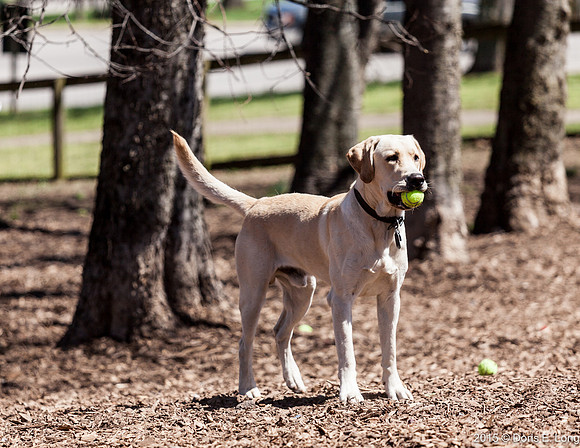 I have my ball now?