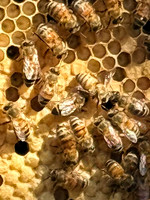09E39425-E6CC-4C66-BDDD-95341A33ACFE_4_5005_c
