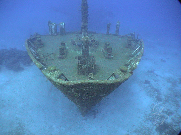 Roatan 2005 001
